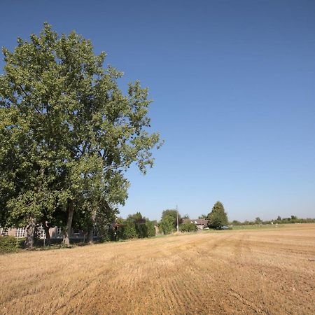 B&B Het Rooj Holsbeek Kültér fotó